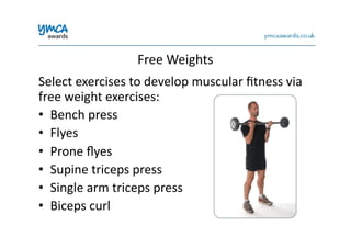 Free	
  Weights	
  
Select	
  exercises	
  to	
  develop	
  muscular	
  ﬁtness	
  via	
  
free	
  weight	
  exercises:	
  
•  Bench	
  press	
  
•  Flyes	
  
•  Prone	
  ﬂyes	
  
•  Supine	
  triceps	
  press	
  
•  Single	
  arm	
  triceps	
  press	
  
•  Biceps	
  curl	
  
 