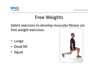 Free	
  Weights	
  
Select	
  exercises	
  to	
  develop	
  muscular	
  ﬁtness	
  via	
  
free	
  weight	
  exercises:	
  
•  Lunge	
  
•  Dead	
  lig	
  
•  Squat	
  
 
