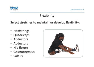 Flexibility	
  
Select	
  stretches	
  to	
  maintain	
  or	
  develop	
  ﬂexibility:	
  
•  Hamstrings	
  
•  Quadriceps	
  
•  Adductors	
  
•  Abductors	
  
•  Hip	
  ﬂexors	
  
•  Gastrocnemius	
  
•  Soleus	
  
 