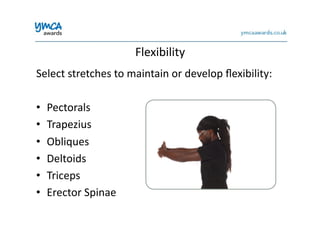 Flexibility	
  
Select	
  stretches	
  to	
  maintain	
  or	
  develop	
  ﬂexibility:	
  
•  Pectorals	
  
•  Trapezius	
  
•  Obliques	
  
•  Deltoids	
  
•  Triceps	
  
•  Erector	
  Spinae	
  
 