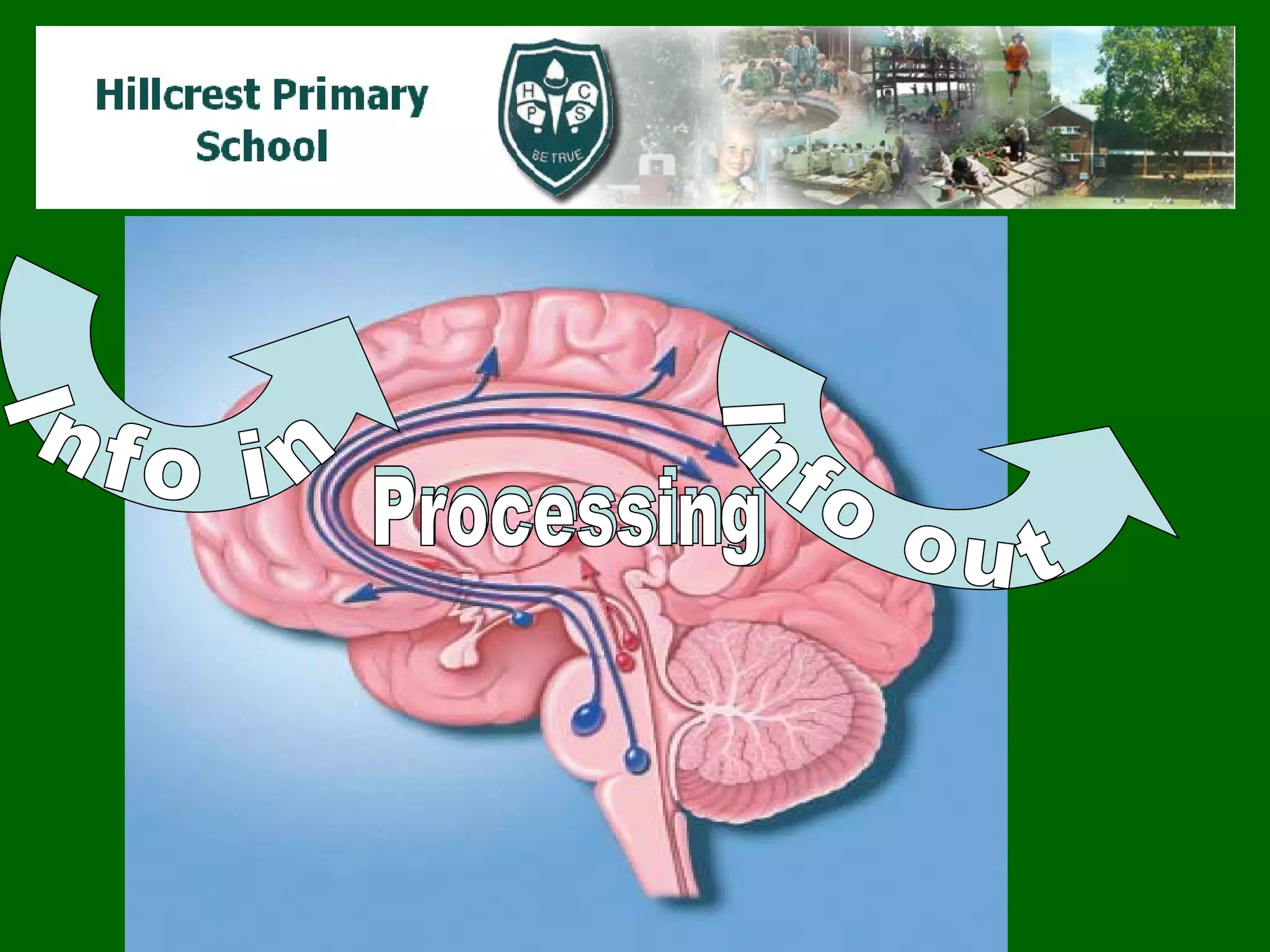 Info in Processing Processing Info out 