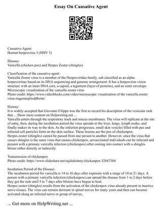 Essay On Causative Agent
Causative Agent:
Human herpesvirus 3 (HHV 3)
Disease:
Varicella (chicken pox) and Herpes Zoster (shingles)
Classification of the causative agent:
Varicella Zoster virus is a member of the Herpesviridae family, sub classified as an alpha
herpesvirinae based on its DNA sequencing and genome arrangement. It has a herpesvirus virion
structure with an inner DNA core, a capsid, a tegument (layer of proteins), and an outer envelope.
Microscopic visualization of the varicella zoster virus
Photo credit: https://www.videoblocks.com/video/microscopic visualization of the varicella zoster
virus riagemeqliwddbvtm/
History:
It is widely accepted that Giovanni Filippo was the first to record his description of the vesicular rash
that ... Show more content on Helpwriting.net ...
Varicella enters through the respiratory track and mucus membranes. The virus will replicate at the site
of entry, then, during the incubation period the virus spreads to the liver, lungs, lymph nodes, and
finally makes its way to the skin. As the infection progresses, small skin vesicles filled with pus and
infected cell particles form on the skin surface. These lesions are the pox of chickenpox.
Herpes zoster (shingles) cannot be passed from one person to another. However, since the virus that
causes shingles is the same virus that causes chickenpox, unvaccinated individuals can be infected and
present with a primary varicella infection (chickenpox) after coming into contact with a shingles
blister either directly or indirectly.
Transmission of chickenpox
Photo credit: https://www.slideshare.net/rajalekshmy/chickenpox 52847384
Incubation Period of the Disease:
The incubation period for varicella is 14 to 16 days after exposure with a range of 10 to 21 days. A
person with a primary varicella infection (chickenpox) can spread the disease from 1 to 2 days before
they get the rash until 5 to 7 days after blisters have begun to heal.
Herpes zoster (shingles) results from the activation of the chickenpox virus already present in inactive
nerve tissues. The virus can remain dormant in spinal nerves for many years and then can become
activated along an infected nerve or group of nerves,
... Get more on HelpWriting.net ...
 