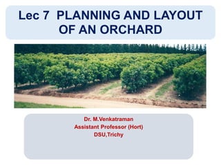 Dr. M.Venkatraman
Assistant Professor (Hort)
DSU,Trichy
Lec 7 PLANNING AND LAYOUT
OF AN ORCHARD
 