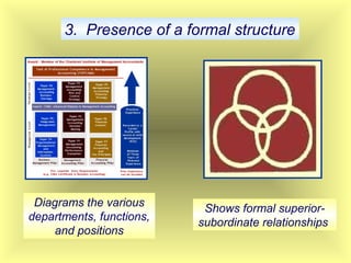 3. Presence of a formal structure
Diagrams the various
departments, functions,
and positions
Shows formal superior-
subordinate relationships
 