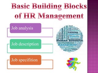 Job analysis

Job description

Job specifition

 