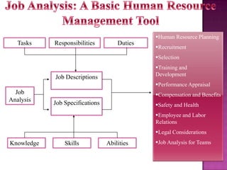 Human Resource Planning

Tasks

Responsibilities

Duties

Recruitment
Selection
Training and
Development

Job Descriptions

Performance Appraisal

Job
Analysis

Compensation and Benefits

Job Specifications

Safety and Health
Employee and Labor
Relations
Legal Considerations

Knowledge

Skills

Abilities

Job Analysis for Teams

34

 