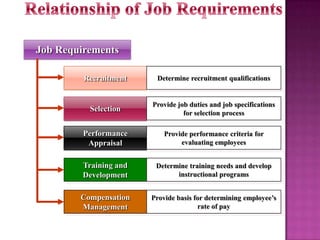 Job Requirements
Recruitment

Determine recruitment qualifications

Selection

Provide job duties and job specifications
for selection process

Performance
Appraisal

Provide performance criteria for
evaluating employees

Training and
Development

Determine training needs and develop
instructional programs

Compensation
Management

Provide basis for determining employee’s
rate of pay

 