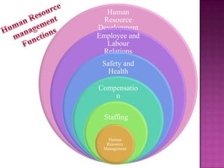 Human
Resource
Development
Employee and
Labour
Relations
Safety and
Health
Compensatio
n
Staffing
Human
Resource
Management

 