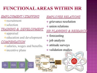  recruitment

grievance resolution
 union relations


 selection
 appraisal
 education and

development

 salaries, wages
 incentive plans

and benefits

forecasting
 job analysis
 attitude surveys
 validation studies


 