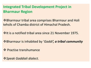 Integrated Tribal Development Project in
Bharmaur Region
Bharmaur tribal area comprises Bharmaur and Holi
tehsils of Chamba district of Himachal Pradesh.
It is a notified tribal area since 21 November 1975.
Bharmaur is inhabited by ‘Gaddi’, a tribal community
 Practise transhumance
Speak Gaddiali dialect.
 