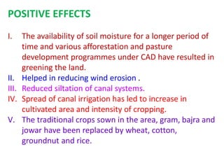 POSITIVE EFFECTS
I. The availability of soil moisture for a longer period of
time and various afforestation and pasture
development programmes under CAD have resulted in
greening the land.
II. Helped in reducing wind erosion .
III. Reduced siltation of canal systems.
IV. Spread of canal irrigation has led to increase in
cultivated area and intensity of cropping.
V. The traditional crops sown in the area, gram, bajra and
jowar have been replaced by wheat, cotton,
groundnut and rice.
 
