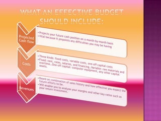 What an Effective Budget should include: