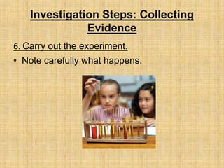 Planning an investigation | PPTX