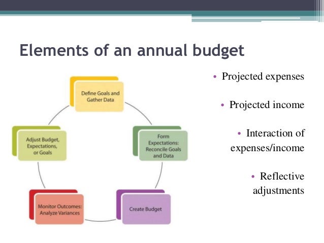 annual budget