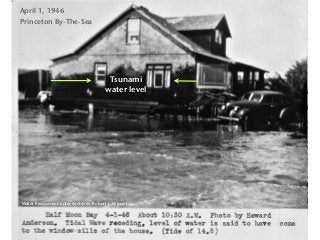 Tsunami
water level
April 1, 1946
Princeton By-The-Sea
Water Resources Center Archives: Robert L. Wiegel
 