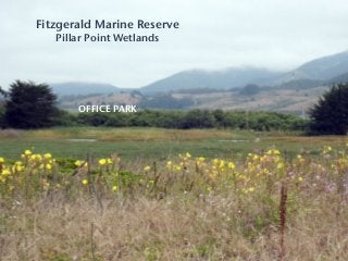 OFFICE PARK
Fitzgerald Marine Reserve
Pillar Point Wetlands
 