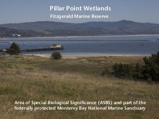 Pillar Point Wetlands
Area of Special Biological Significance (ASBS) and part of the
federally protected Monterey Bay Nati...