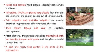 • Herbs and grasses need closure spacing than shrubs
and trees.
• In borders, shrubs are placed very closely than those in
the interior of the garden but are cut at certain height.
• Drip irrigation and sprinkler irrigation are usually
practised in gardens for different types of plants.
• They reduce labour and cost of irrigation
managements.
• After planting, the garden should be maintained with
out weeds, diseases and pests and the plants should
be kept healthy.
• A neat and nicely kept garden is the pride of the
landscapists.
 