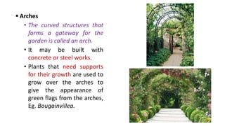  Arches
• The curved structures that
forms a gateway for the
garden is called an arch.
• It may be built with
concrete or steel works.
• Plants that need supports
for their growth are used to
grow over the arches to
give the appearance of
green flags from the arches,
Eg. Bougainvillea.
 