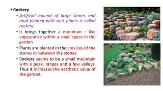  Rockery
• Artificial mound of large stones and
mud planted with rock plants is called
rockery
• It brings together a mountain – like
appearance within a small space in the
garden
• Plants are planted in the crevices of the
stones or between the stones.
• Rockery seems to be a small mountain
with a peak, ranges and a few valleys.
Thus it increases the aesthetic value of
the garden.
 
