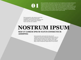 SED UT LOREM IPSUM NATUS CONSECTEUR
ADISPING
NOSTRUM IPSUM
Sed ut perspiciatis, unde omnis iste natus error sit
voluptatem accusantium doloremque laudantium, totam rem
aperiam eaque ipsa, quae ab illo inventore veritatis et quasi
architecto beatae vitae dicta sunt, explicabo. Nemo enim
ipsam voluptatem, quia voluptas sit, aspernatur aut odit aut
fugit, sed quia consequuntur magni dolores eos, qui ratione
Sed ut perspiciatis, unde omnis iste natus error
sit voluptatem accusantium doloremque
laudantium, totam rem aperiam eaque ipsa, quae
ab illo inventore veritatis et quasi architecto
beatae vitae dicta sunt, explicabo
01
Sed ut perspiciatis, unde omnis iste natus error sit voluptatem accusantium doloremque
laudantium, totam rem aperiam eaque ipsa, quae ab illo inventore veritatis et quasi
architecto beatae vitae dicta sunt, explicabo. Nemo enim ipsam voluptatem, quia
voluptas sit, aspernatur aut odit aut fugit, sed quia consequuntur magni dolores eos, qui
ratione voluptatem sequi nesciunt, neque porro quisquam est, qui dolorem ipsum, quia
dolor sit, amet, consectetur, adipisci velit, sed quia non numquam eius modi tempora
incidunt, ut labore et dolore magnam aliquam quaerat voluptatem. Ut enim ad minima
veniam, quis nostrum exercitationem ullam corporis suscipit
 