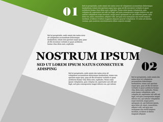 SED UT LOREM IPSUM NATUS CONSECTEUR
ADISPING
NOSTRUM IPSUM
Sed ut perspiciatis, unde omnis iste natus error sit
voluptatem accusantium doloremque laudantium, totam rem
aperiam eaque ipsa, quae ab illo inventore veritatis et quasi
architecto beatae vitae dicta sunt, explicabo. Nemo enim
ipsam voluptatem, quia voluptas sit, aspernatur aut odit aut
fugit, sed quia consequuntur magni dolores eos, qui ratione
Sed ut perspiciatis, unde omnis iste natus error
sit voluptatem accusantium doloremque
laudantium, totam rem aperiam eaque ipsa, quae
ab illo inventore veritatis et quasi architecto
beatae vitae dicta sunt, explicabo
01
02
Sed ut perspiciatis, unde omnis iste natus error sit voluptatem accusantium doloremque
laudantium, totam rem aperiam eaque ipsa, quae ab illo inventore veritatis et quasi
architecto beatae vitae dicta sunt, explicabo. Nemo enim ipsam voluptatem, quia
voluptas sit, aspernatur aut odit aut fugit, sed quia consequuntur magni dolores eos, qui
ratione voluptatem sequi nesciunt, neque porro quisquam est, qui dolorem ipsum, quia
dolor sit, amet, consectetur, adipisci velit, sed quia non numquam eius modi tempora
incidunt, ut labore et dolore magnam aliquam quaerat voluptatem. Ut enim ad minima
veniam, quis nostrum exercitationem ullam corporis suscipit
Sed ut perspiciatis, unde omnis iste
natus error sit voluptatem
accusantium doloremque
laudantium, totam rem aperiam
eaque ipsa, quae ab illo inventore
veritatis et quasi architecto beatae
vitae dicta sunt, explicabo. Nemo
enim ipsam voluptatem, quia
voluptas sit, aspernatur aut odit aut
fugit, sed quia consequuntur magni
dolores eos, qui ratione voluptatem
sequi nesciunt, neque porro
quisquam est, qui dolorem ipsum,
quia dolor sit, amet, consectetur,
adipisci velit, sed quia non
numquam eius modi tempora
incidunt, ut labore et dolore
magnam aliquam
 