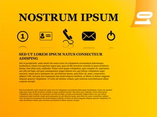SED UT LOREM IPSUM NATUS CONSECTEUR
ADISPING
Sed ut perspiciatis, unde omnis iste natus error sit voluptatem accusantium doloremque
laudantium, totam rem aperiam eaque ipsa, quae ab illo inventore veritatis et quasi architecto
beatae vitae dicta sunt, explicabo. Nemo enim ipsam voluptatem, quia voluptas sit, aspernatur
aut odit aut fugit, sed quia consequuntur magni dolores eos, qui ratione voluptatem sequi
nesciunt, neque porro quisquam est, qui dolorem ipsum, quia dolor sit, amet, consectetur,
adipisci velit, sed quia non numquam eius modi tempora incidunt, ut labore et dolore magnam
aliquam quaerat voluptatem. Ut enim ad minima veniam, quis nostrum exercitationem ullam
corporis suscipit
NOSTRUM IPSUM
Sed ut perspiciatis, unde omnis iste natus error sit voluptatem accusantium doloremque laudantium, totam rem aperiam
eaque ipsa, quae ab illo inventore veritatis et quasi architecto beatae vitae dicta sunt, explicabo. Nemo enim ipsam
voluptatem, quia voluptas sit, aspernatur aut odit aut fugit, sed quia consequuntur magni dolores eos, qui ratione
voluptatem sequi nesciunt, neque porro quisquam est, qui dolorem ipsum, quia dolor sit, amet, consectetur, adipisci
velit, sed quia non numquam eius modi tempora incidunt, ut labore et dolore magnam aliquam quaerat voluptatem. Ut
enim ad minima veniam, quis nostrum exercitationem ullam corporis suscipit
 