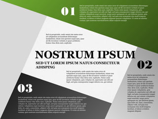 Velit quisquam magnam veniam non sapiente