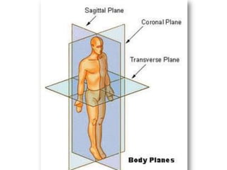 Plan on various levels: individual, group, stage and clubPresentation prepared by: Derek Evely. Date: 11/12/2010