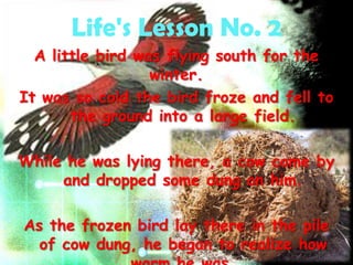 Life's Lesson No. 2
  A little bird was flying south for the
                  winter.
It was so cold the bird froze and fell to
       the ground into a large field.

While he was lying there, a cow came by
     and dropped some dung on him.

As the frozen bird lay there in the pile
  of cow dung, he began to realize how
 