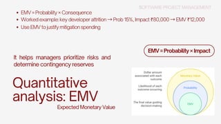 Comprehensive Risk Management Planning in Software Project Management | PDF