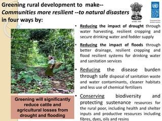 • Reducing the impact of drought through
water harvesting, resilient cropping and
secure drinking water and fodder supply
• Reducing the impact of floods through
better drainage, resilient cropping and
flood resilient systems for drinking water
and sanitation services
• Reducing the disease burden
through safe disposal of sanitation waste
and water contaminants, cleaner habitats
and less use of chemical fertilizers
• Conserving biodiversity and
protecting sustenance resources for
the rural poor, including health and shelter
inputs and productive resources including
fibres, dyes, oils and resins
Greening will significantly
reduce cattle and
agricultural losses from
drought and flooding
Greening rural development to make--
Communities more resilient --to natural disasters
in four ways by:
 