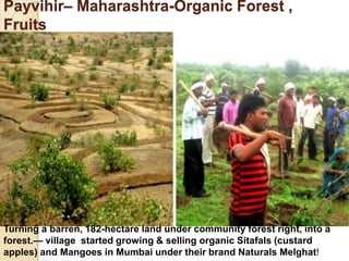 Payvihir– Maharashtra-Organic Forest ,
Fruits
Turning a barren, 182-hectare land under community forest right, into a
forest.— village started growing & selling organic Sitafals (custard
apples) and Mangoes in Mumbai under their brand Naturals Melghat!
 
