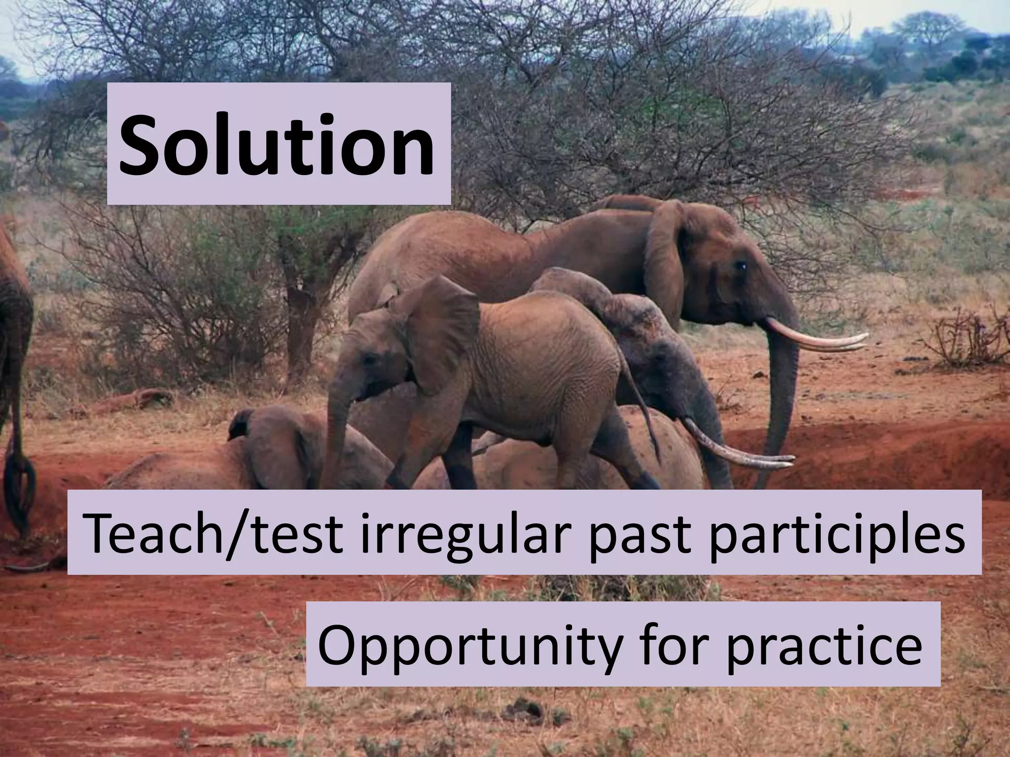 Solution
Solution
Teach/test irregular past participles
Opportunity for practice
 