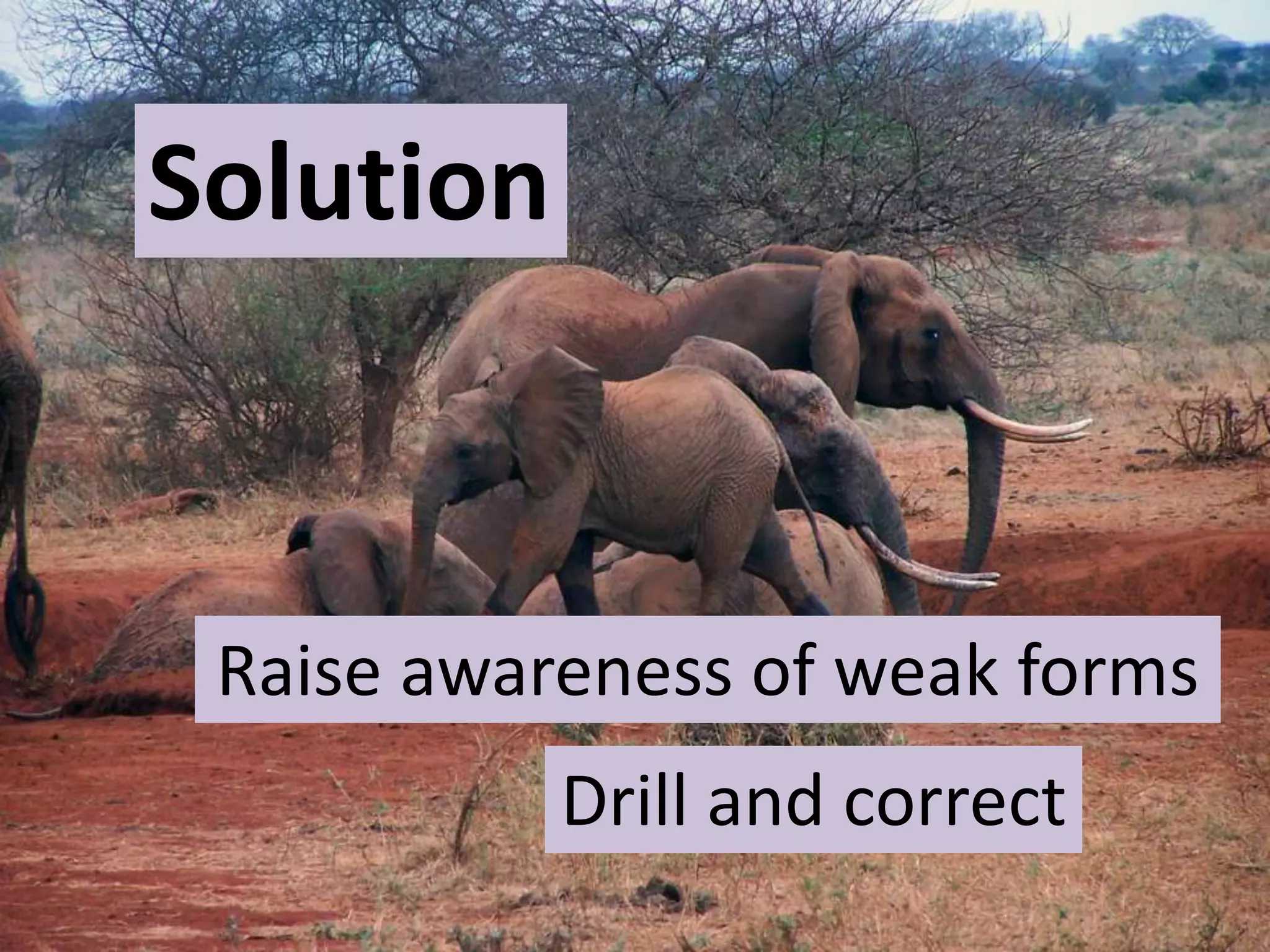 Solution
Solution
Drill and correct
Raise awareness of weak forms
 