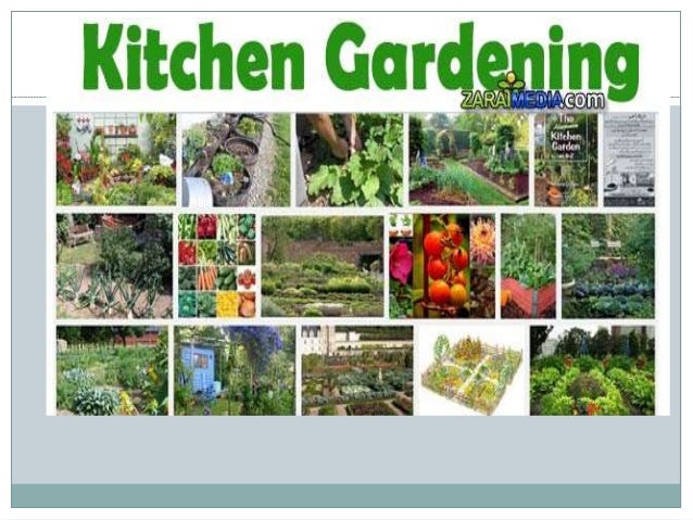 Planning Kitchen Gardening A Presentation By Mr Allah Dad Khan Visit