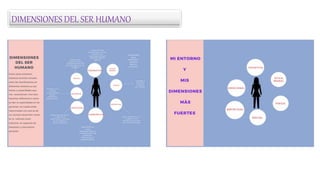DIMENSIONES DEL SER HUMANO
 