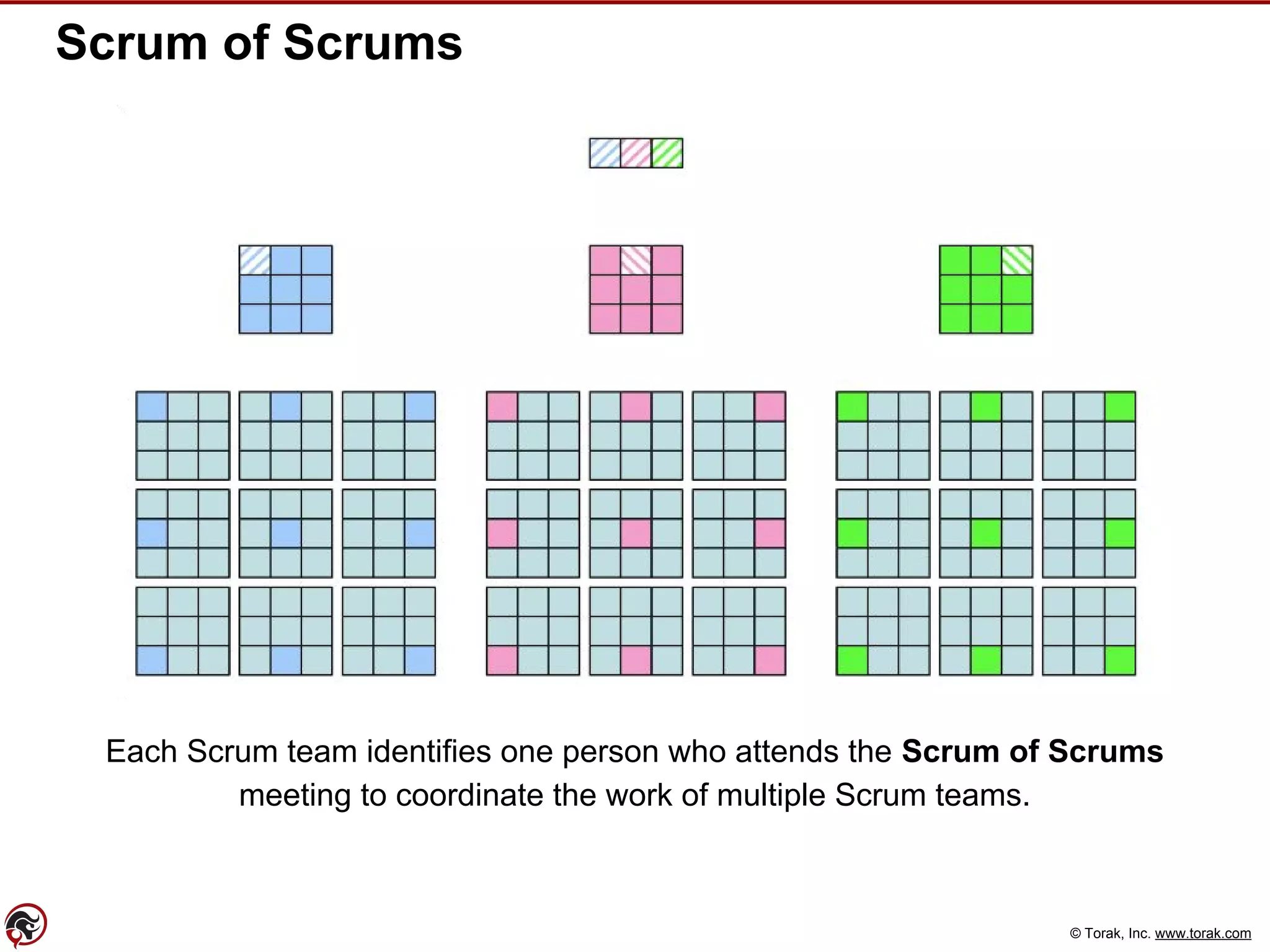 © Torak, Inc. www.torak.com
Scrum of Scrums
Each Scrum team identifies one person who attends the Scrum of Scrums
meeting to coordinate the work of multiple Scrum teams.
 