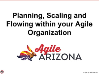 © Torak, Inc. www.torak.com
Planning, Scaling and
Flowing within your Agile
Organization
 