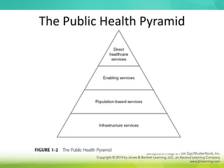 The Public Health Pyramid
 