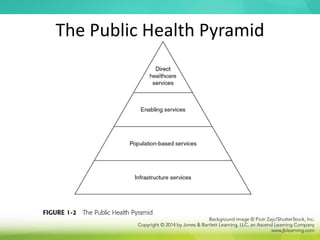 The Public Health Pyramid
 