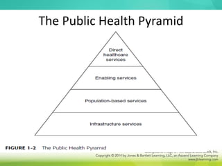 The Public Health Pyramid
 