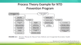 Process Theory Example for NTD
Prevention Program
 