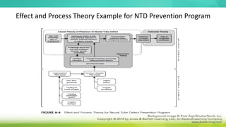 Effect and Process Theory Example for NTD Prevention Program
 