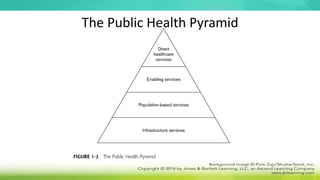 The Public Health Pyramid
 
