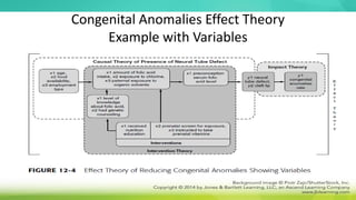 Congenital Anomalies Effect Theory
Example with Variables
 