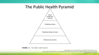 The Public Health Pyramid
 