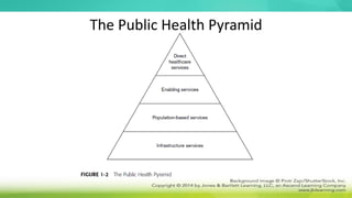 The Public Health Pyramid
 