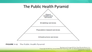 The Public Health Pyramid
 