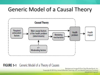 Generic Model of a Causal Theory
 
